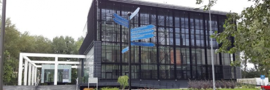 Humanitarni Sportski Dan Univerziteta u Novom Sadu