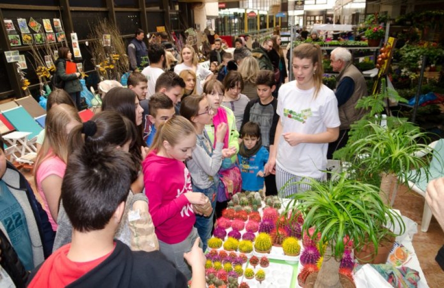 Sutra počinje Novosadsko proleće na SPENS-u