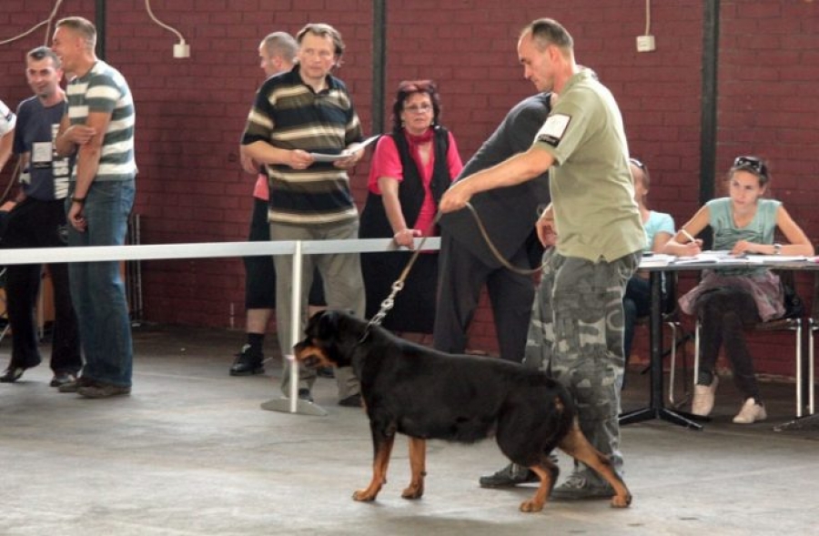 Kinološki vikend na Novosadskom sajmu