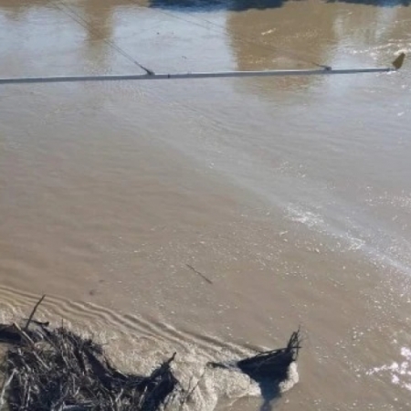 DUNAV NADOLAZI Svašta sa sobom donosi